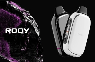 E-papierosy jednorazowe FLONQ ROQY 40000 Bluberry Mint