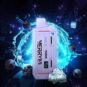 E-Papierosy-MerryMi-M-Mecha-16-000-Grape-Ice_[1920]_480
