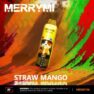 E-Papierosy-MerryMi-Mk-20-000-Straw-Mango_[1732]_480