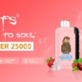 E-papierosy-ETS-Monster-25000-Lyche-Mint_[2624]_1200