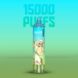 RandM-Tornado-Jednorazowy-e-papieros-15000-Buchow-o-smaku-COOL-MINT-25-ml_[1790]_780