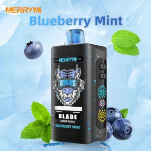 Merry Mi Blade Jednorazowy e-papieros 30000 Buchów o smaku Blueberry Mint