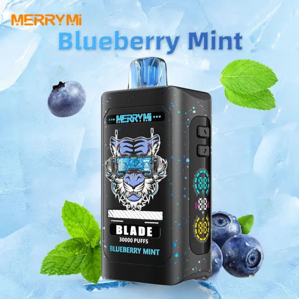 Blueberry mint co to za smak i co realnie kupisz