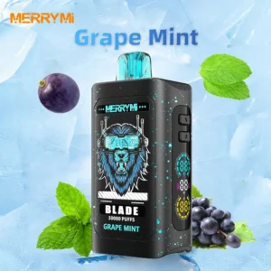 Merry Mi Blade Jednorazowy e-papieros 30000 Buchów o smaku Grape Mint